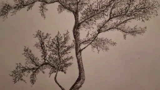 Charcoal and graphite pencil drawing of a tree.