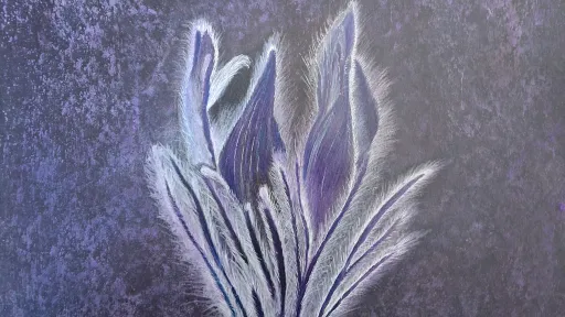 Pastel and color pencil drawing of a purple iris.