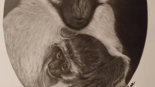 Monochromatic graphite pencil drawing of a mother monkey tenderly embracing her baby.