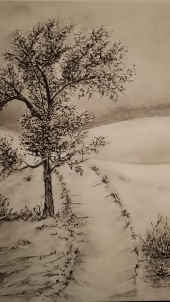 Graphite pencil drawing of a tree on a hill covered in snow