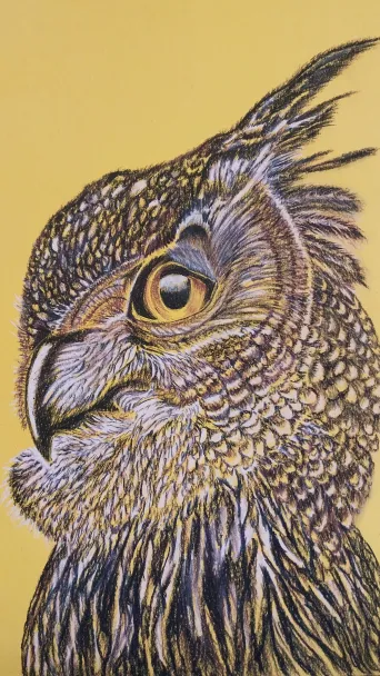 Artwork of an owl head with fine line drawing.