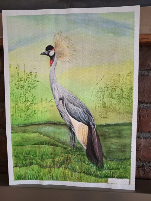 Watercolor artwork of a crowned crane on a green field.