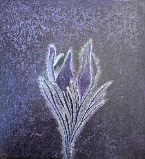Pastel and color pencil drawing of a purple iris.