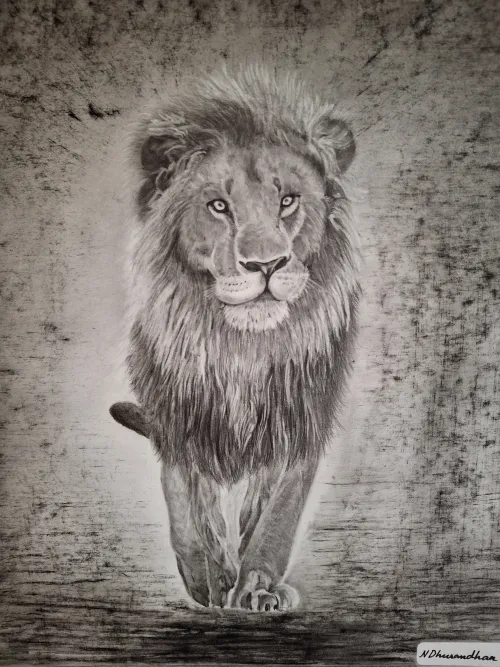 Graphite and charcoal pencil drawing of a lion approaching.