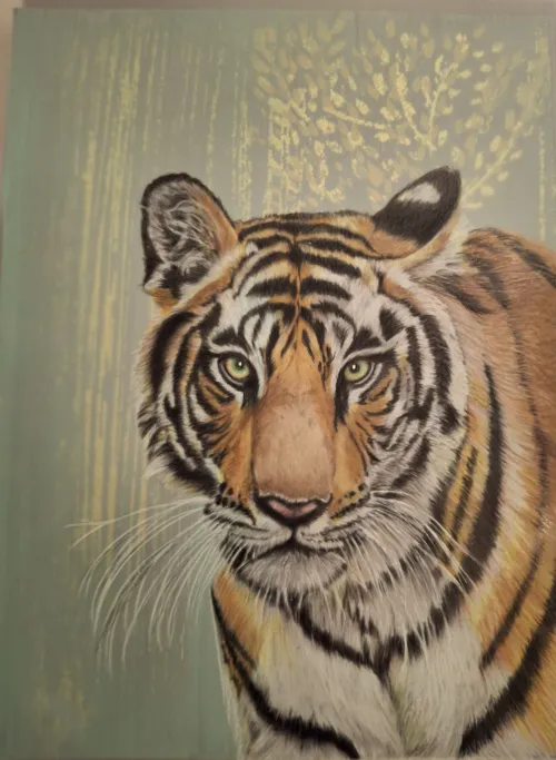 Tiger with an earnest gaze made on polyester film and color pencils